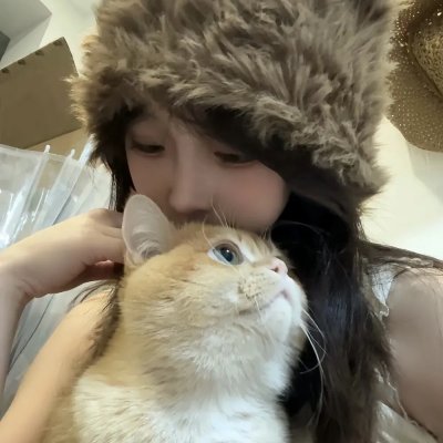 蒙面达虎